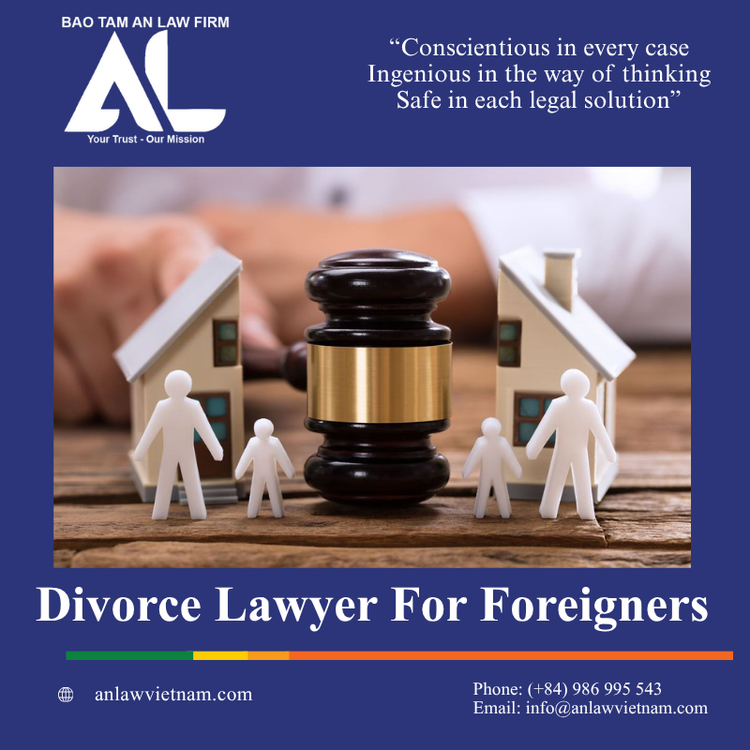 Ly Hôn - Đơn Phương Ly Hôn - Phân Chia Tài Sản, Quyền Nuôi Con Divorce Lawyer For Foreigners (2)