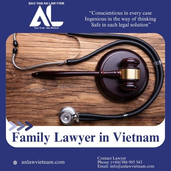 Family Lawyer Services