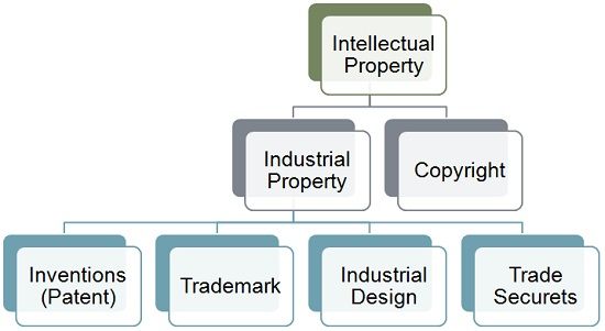 Intellectual Property 3