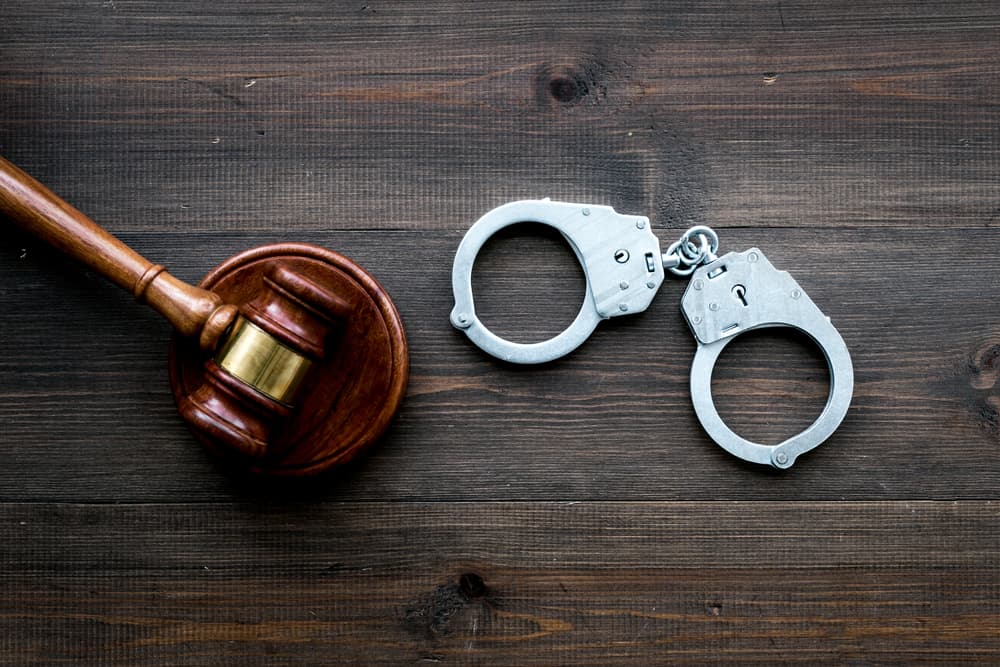 Criminal Justice System 3