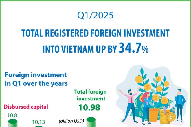 Foreign Investment Regulations in Vietnam: 2025 Update
