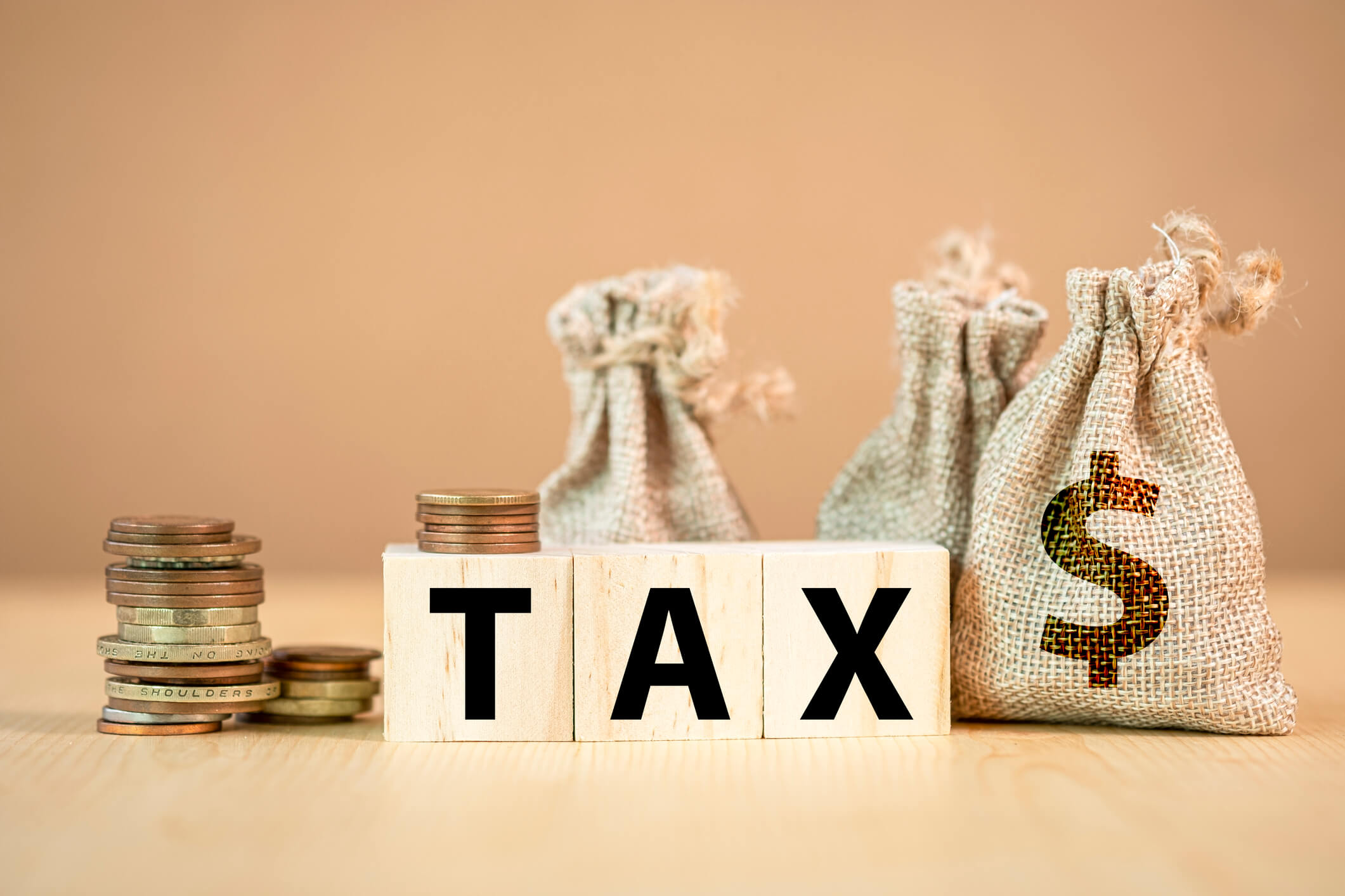 Foreign Investment Laws 4