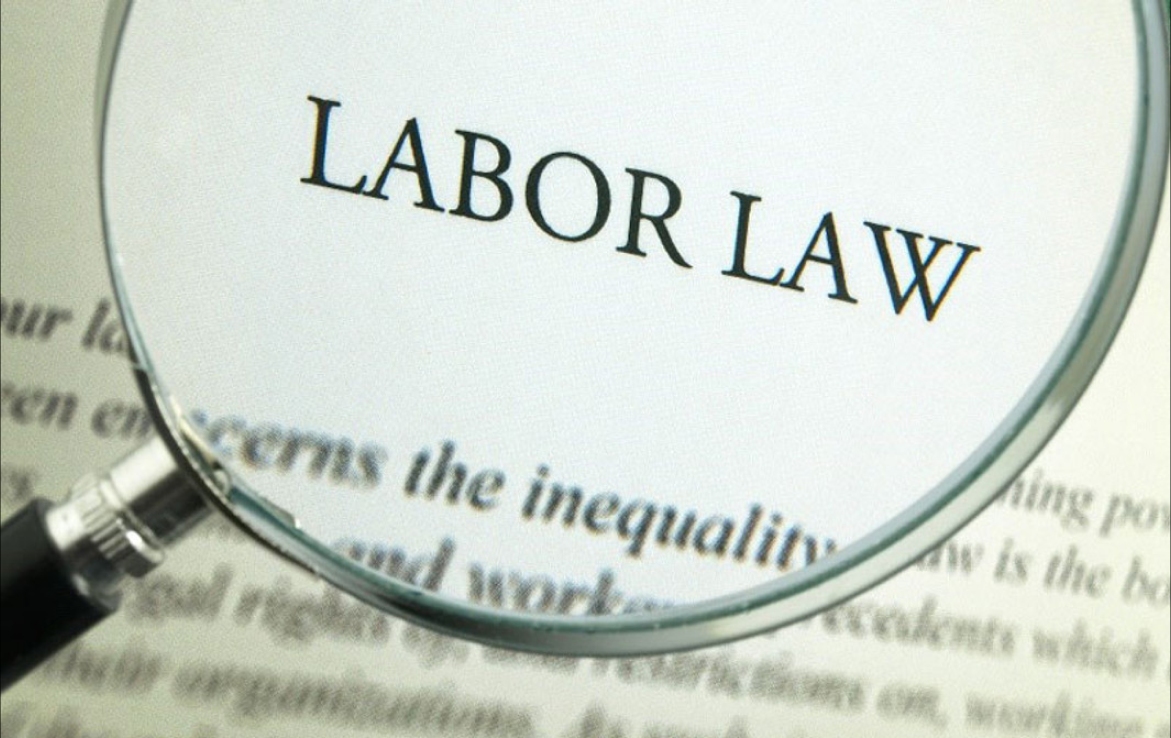 Vietnamese Business Law 5
