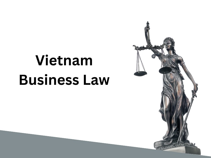 Understanding Vietnamese Business Law Fundamentals | Legal Services