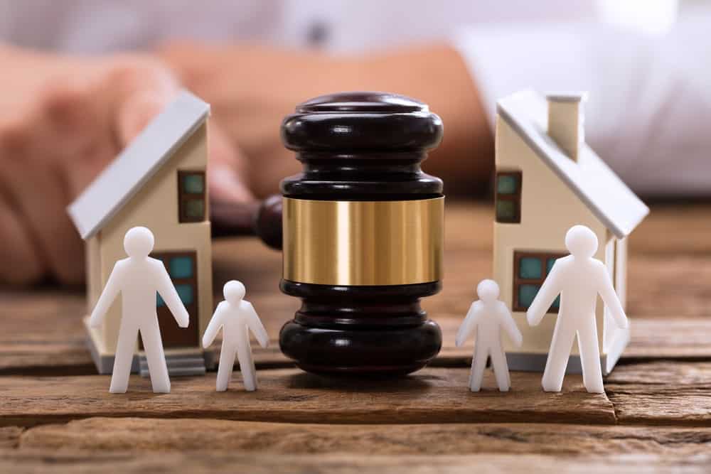 Family Lawyer 3