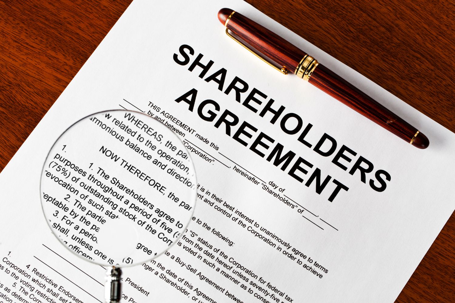 Shareholder Dispute Lawyer 2