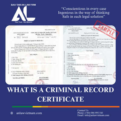 Criminal Record