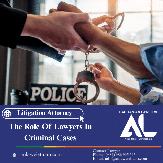The Role Of Lawyers In Criminal Cases