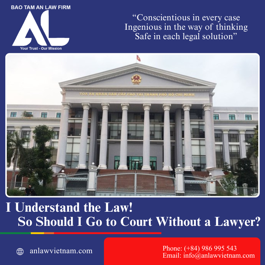 I Understand The Law – So Should I Go To Court Without A Lawyer (2)